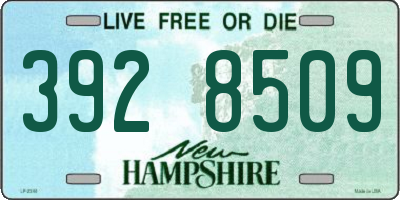NH license plate 3928509
