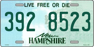 NH license plate 3928523