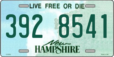 NH license plate 3928541