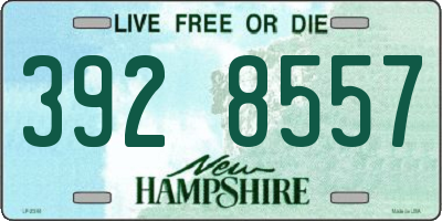 NH license plate 3928557
