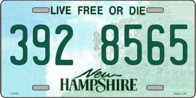 NH license plate 3928565