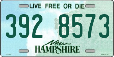 NH license plate 3928573