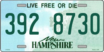 NH license plate 3928730