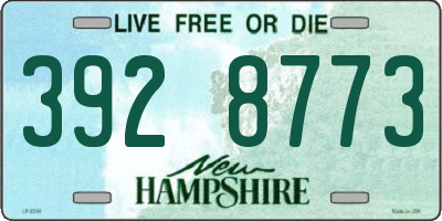 NH license plate 3928773