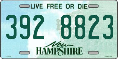 NH license plate 3928823