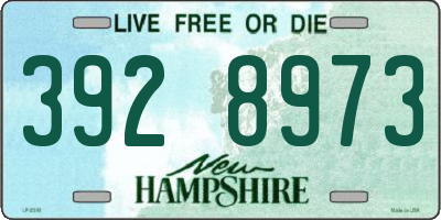 NH license plate 3928973
