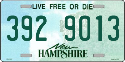 NH license plate 3929013