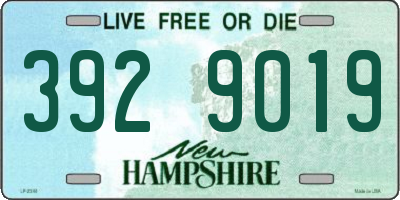 NH license plate 3929019
