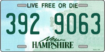 NH license plate 3929063