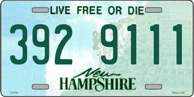 NH license plate 3929111