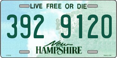 NH license plate 3929120