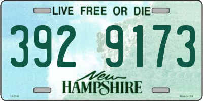 NH license plate 3929173