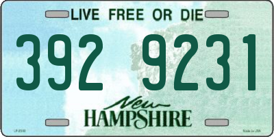 NH license plate 3929231