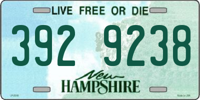 NH license plate 3929238