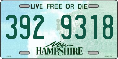 NH license plate 3929318