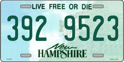 NH license plate 3929523