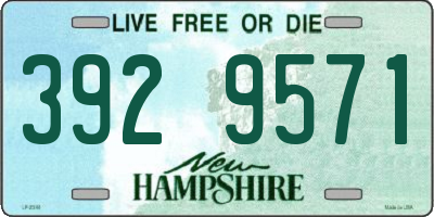 NH license plate 3929571