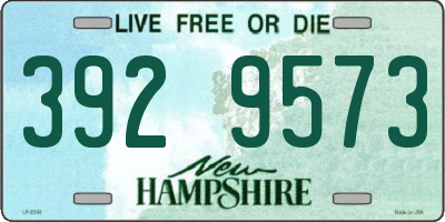 NH license plate 3929573