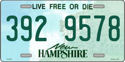 NH license plate 3929578
