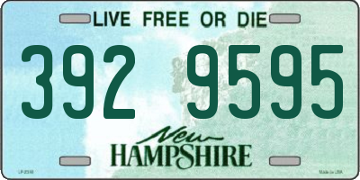 NH license plate 3929595