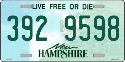 NH license plate 3929598