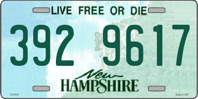 NH license plate 3929617