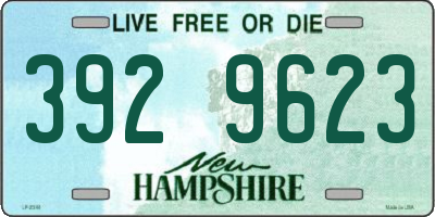 NH license plate 3929623