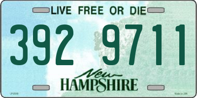 NH license plate 3929711