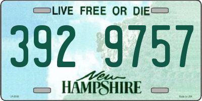 NH license plate 3929757