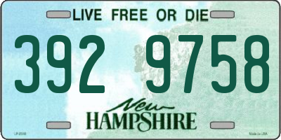 NH license plate 3929758