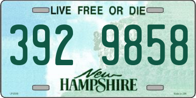 NH license plate 3929858