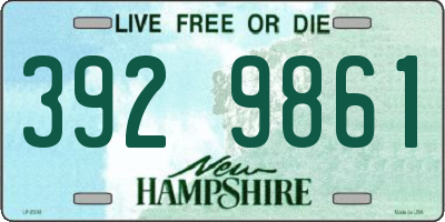 NH license plate 3929861