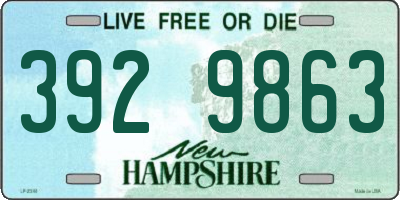 NH license plate 3929863
