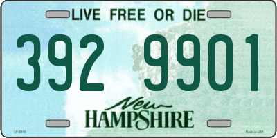 NH license plate 3929901
