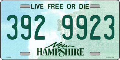 NH license plate 3929923