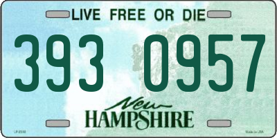 NH license plate 3930957