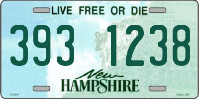 NH license plate 3931238