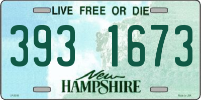 NH license plate 3931673