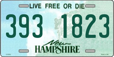 NH license plate 3931823