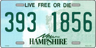 NH license plate 3931856
