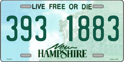 NH license plate 3931883