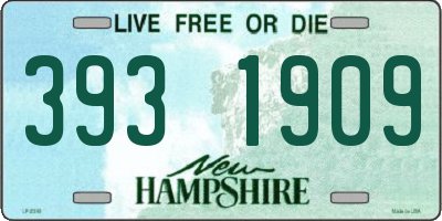 NH license plate 3931909