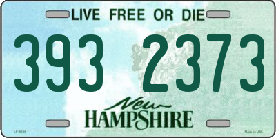 NH license plate 3932373