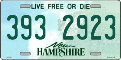 NH license plate 3932923