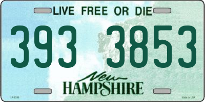 NH license plate 3933853
