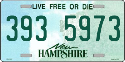 NH license plate 3935973