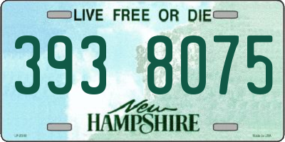 NH license plate 3938075