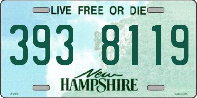 NH license plate 3938119