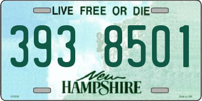 NH license plate 3938501