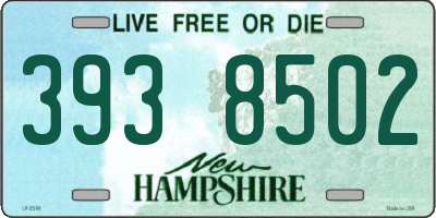 NH license plate 3938502